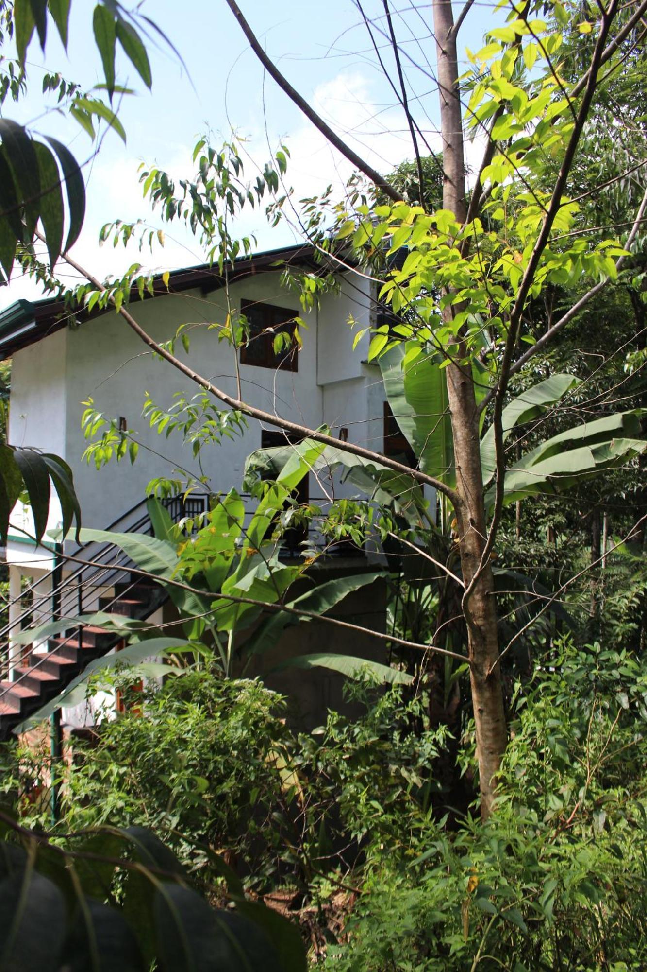 Rest Full Homestay Ella Exterior foto