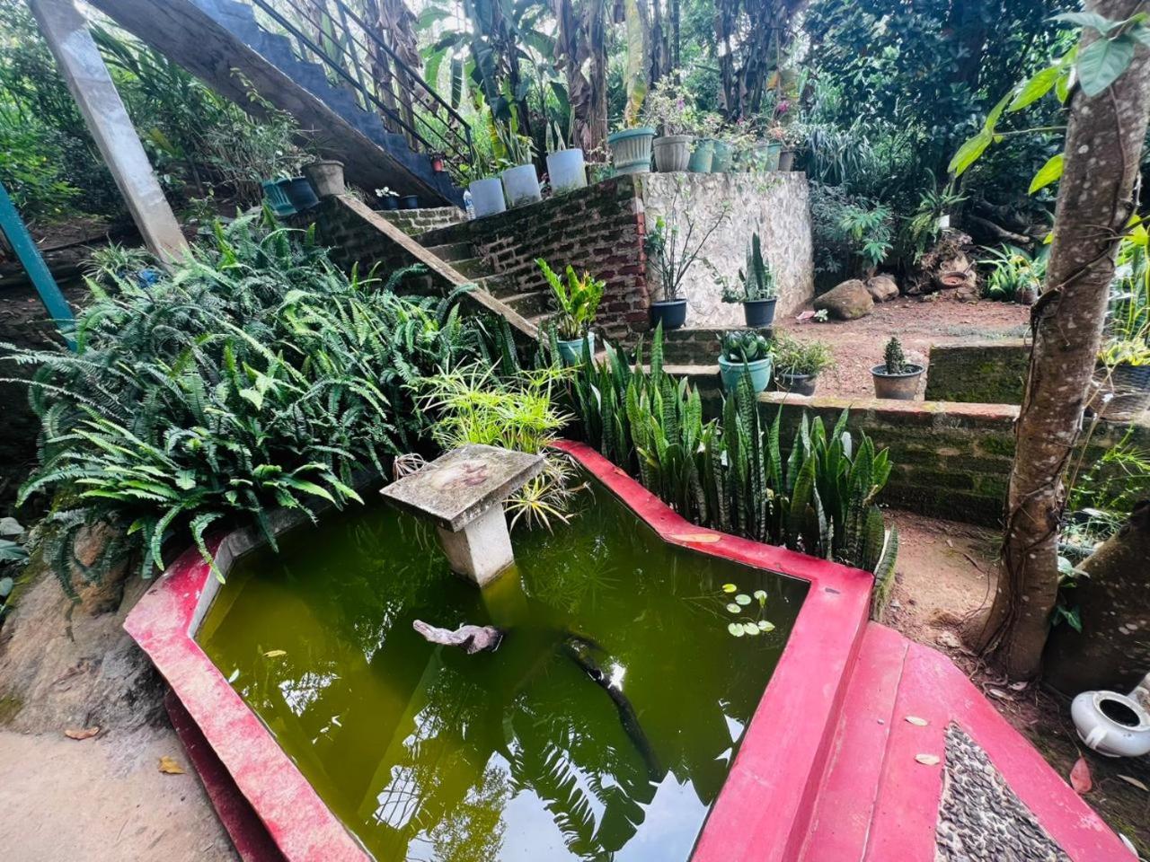 Rest Full Homestay Ella Exterior foto